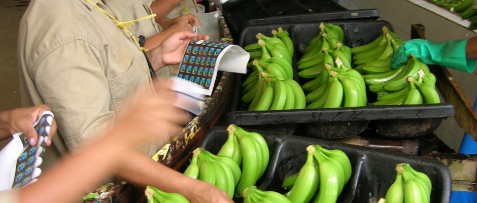 Labeling Fair trade work