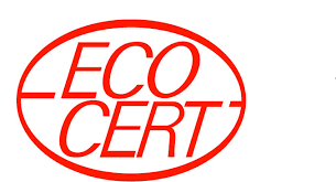Logo BCS x web